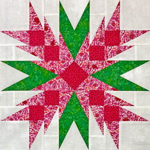 Learn how to make a Christmas Cactus quilt block